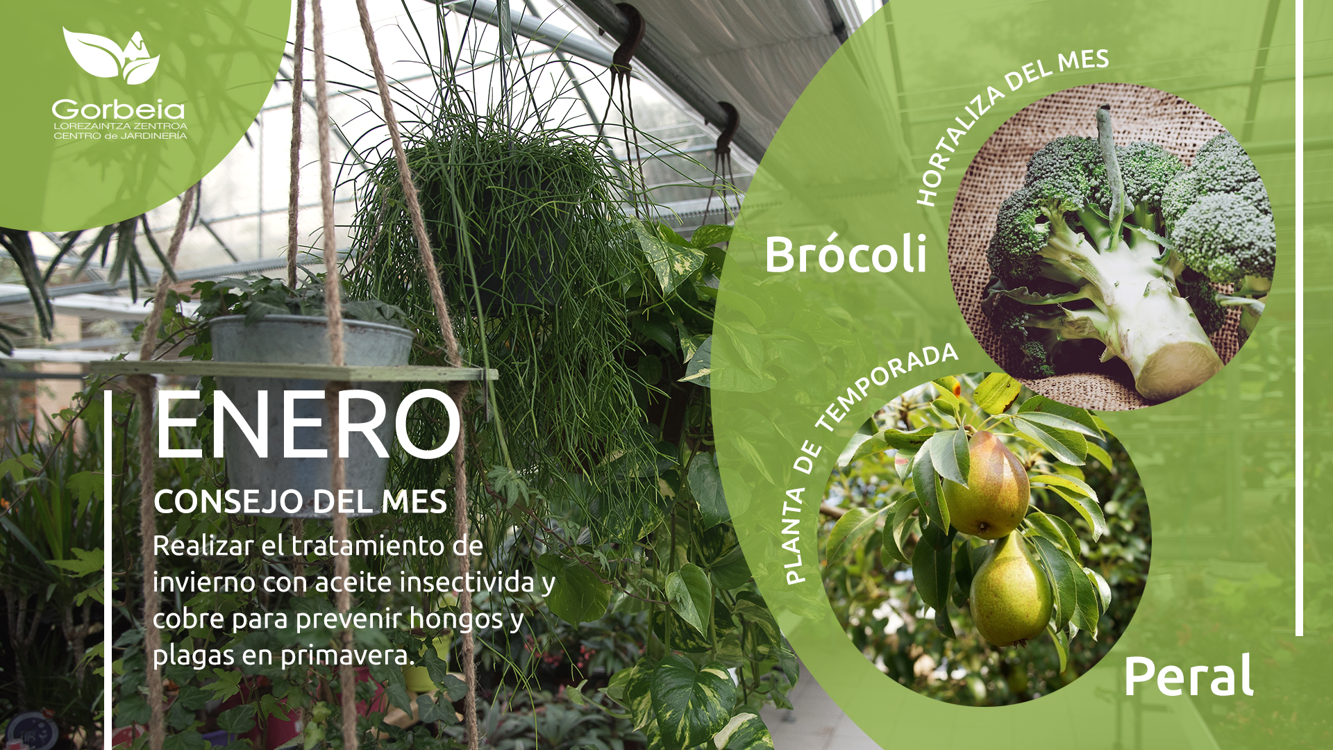 Consejos Enero en el huerto y jardín