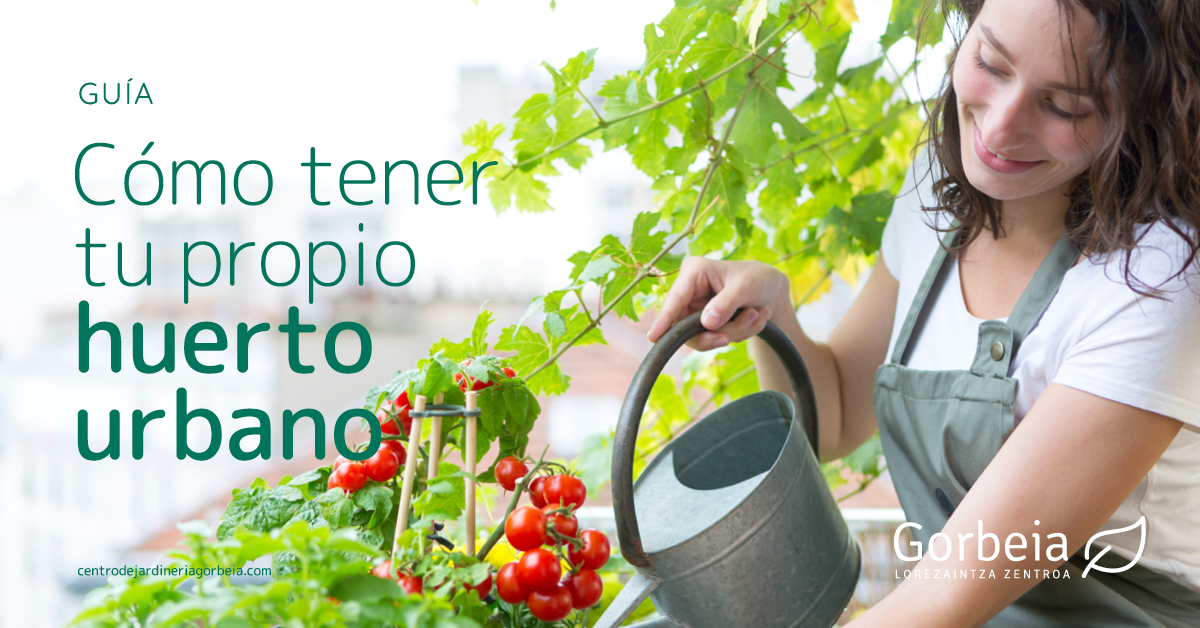 Cómo tener tu propio huerto urbano